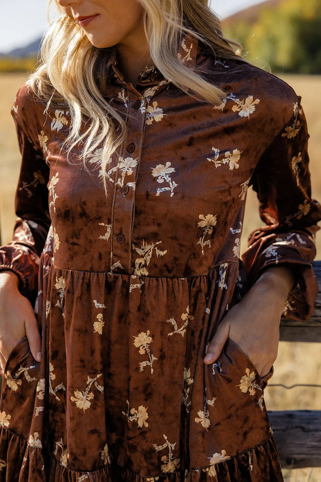 Desert Night Velvet Dress