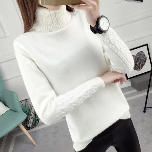 Knitted Long Sleeve Turtleneck Sweater