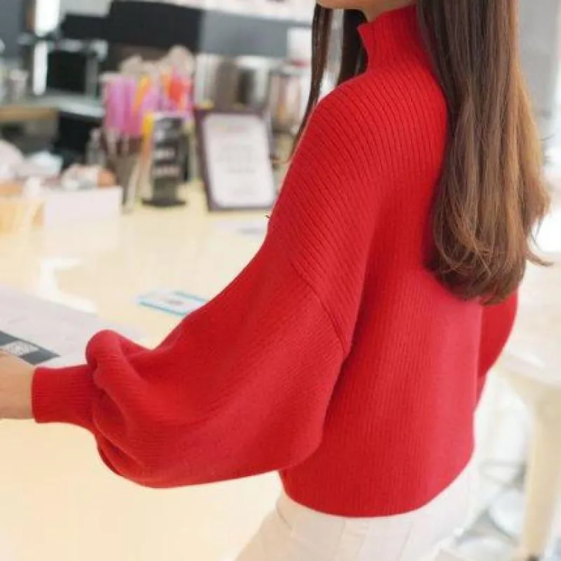 Turtleneck Batwing Sleeve Pullovers Loose Knitted Sweater Top