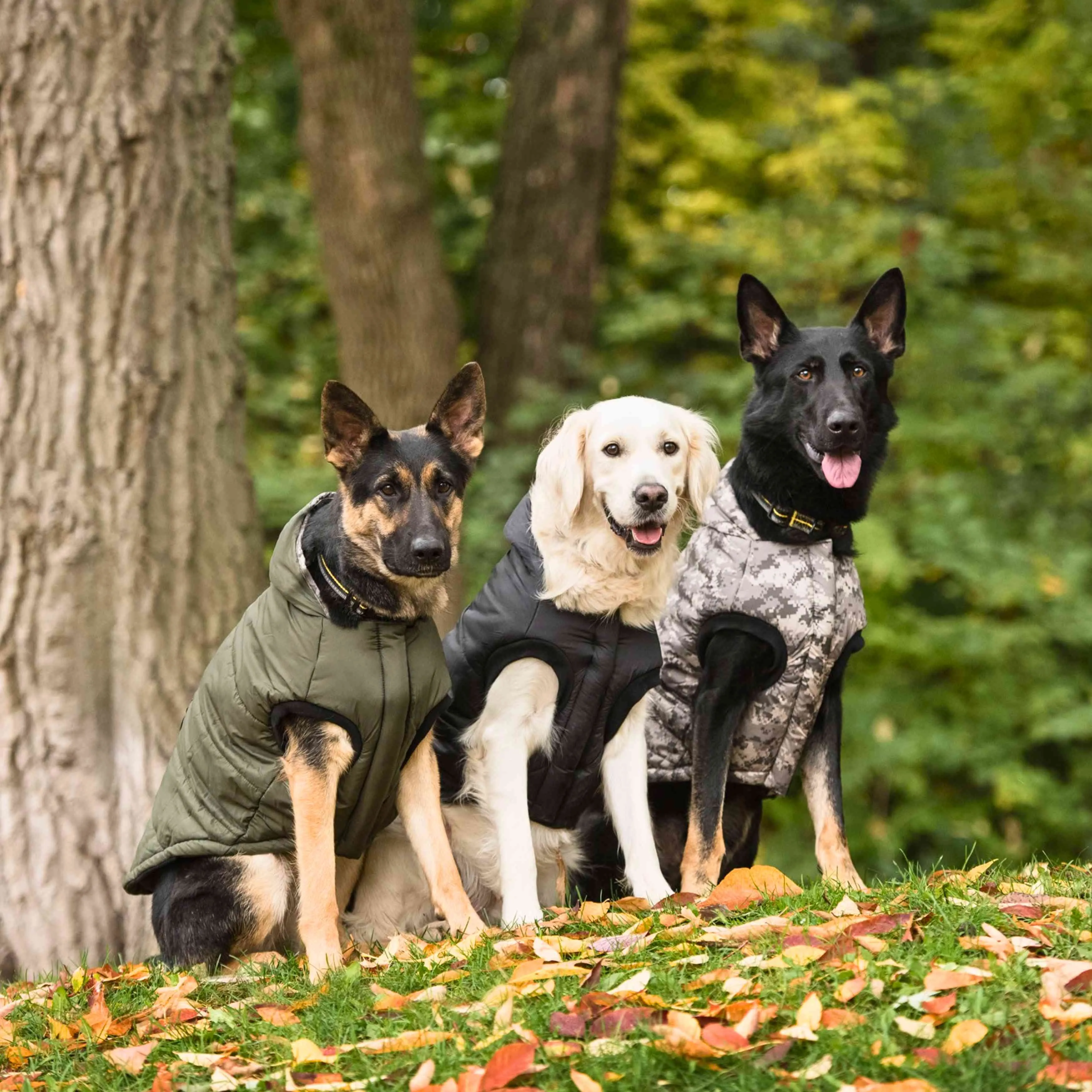 US Army Dog Parka - Dark Camo