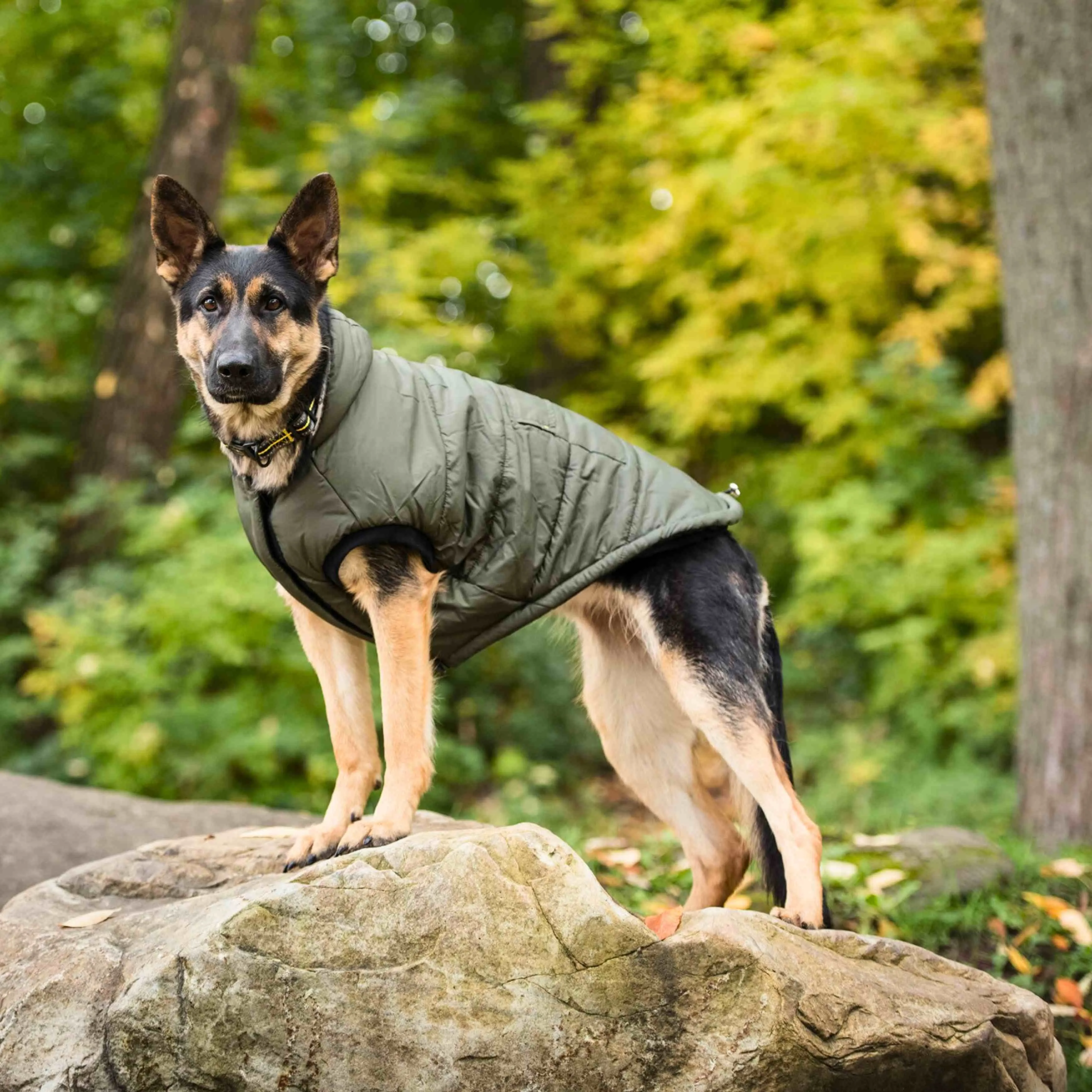 US Army Dog Parka - Dark Camo